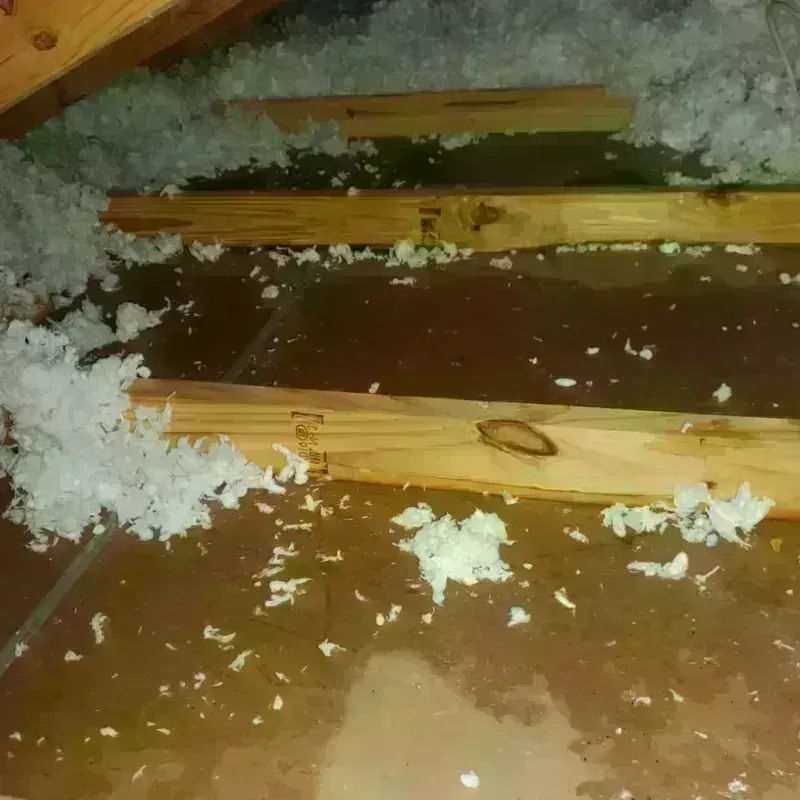 Attic Water Damage in California, MD