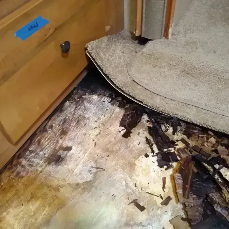 Wood Floor Water Damage in California, MD